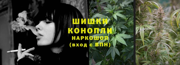 spice Арсеньев