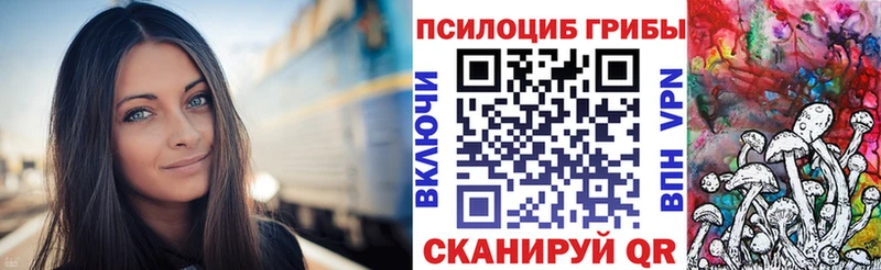 Галлюциногенные грибы MAGIC MUSHROOMS  Купить  Черемхово 